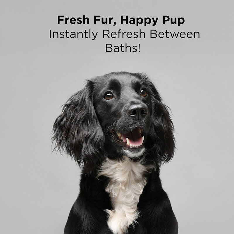 CHI For Dogs Deodorizing Spray, , large image number null